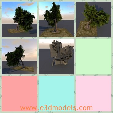 3d model the bended tree - This is a 3d model of the bended tree,which is big and green.The tree experienced a heavy storm before, and then forms the current shape.