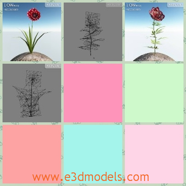 3d model the flower in red - This is a 3d model of the flower in red,which is standing alone in the wind and the leaves are green to see.